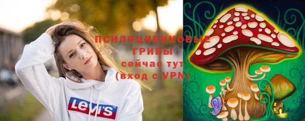 прущие крисы Коряжма